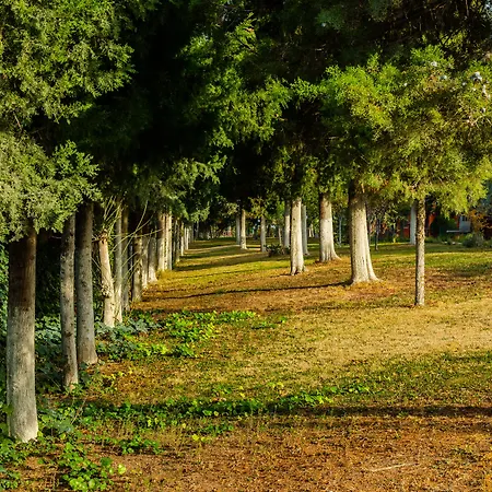 Colossae Thermal 5* Karahayit (Pamukkale)